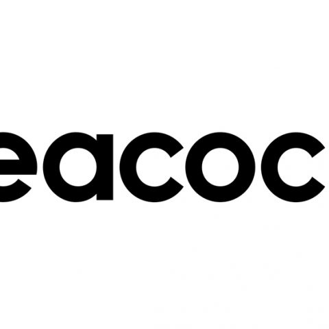 Peacock Series Pauses Production During Writers Strike Due to ‘Hysteria’