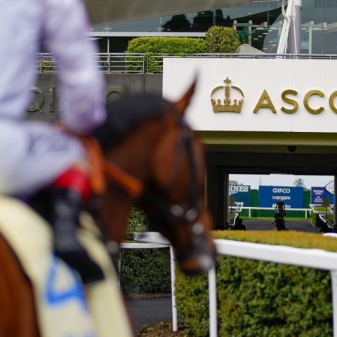 WeDo Sports Launches FAST Network in Preparation for Royal Ascot Horse Races