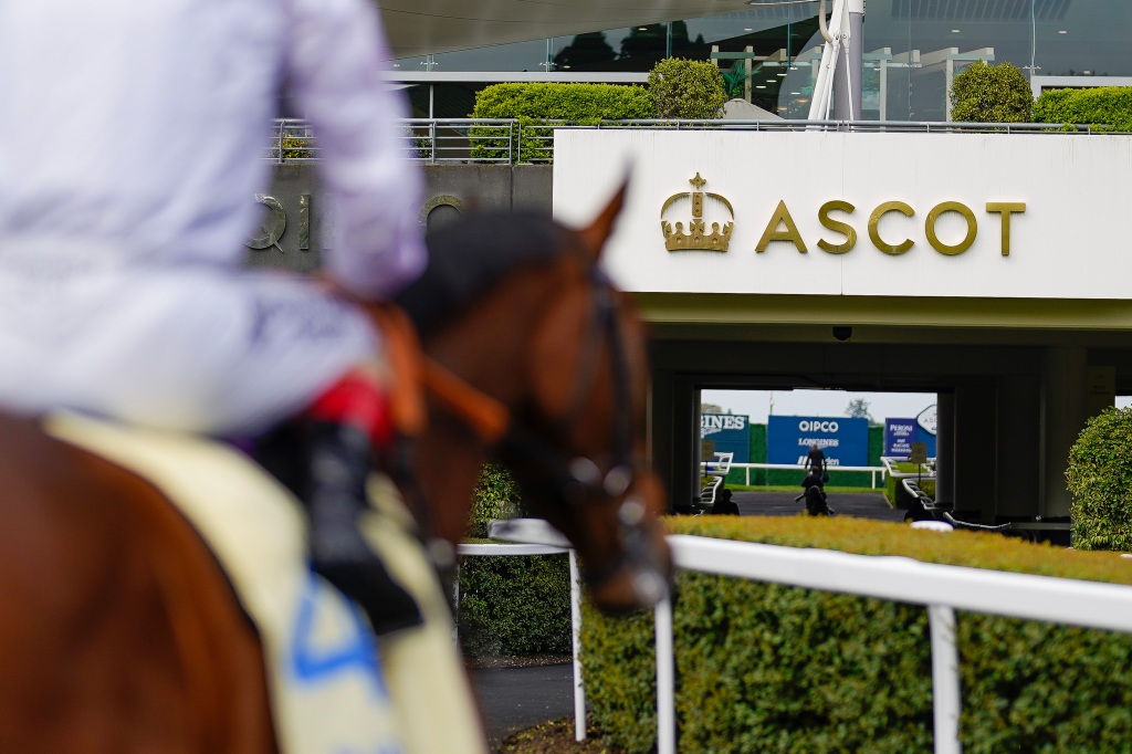 WeDo Sports Launches FAST Network in Preparation for Royal Ascot Horse Races
