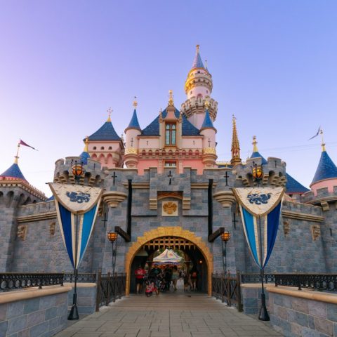 Disneyland California Adventure to Temporarily Close Two Attractions, Monorail in July