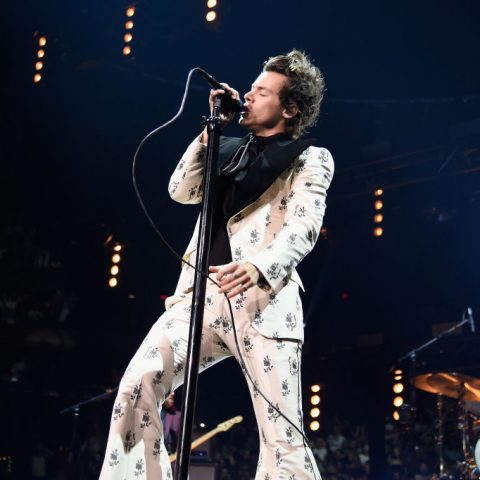 Harry Styles Injured by Thrown Object, Joins Growing List of Concert Victims