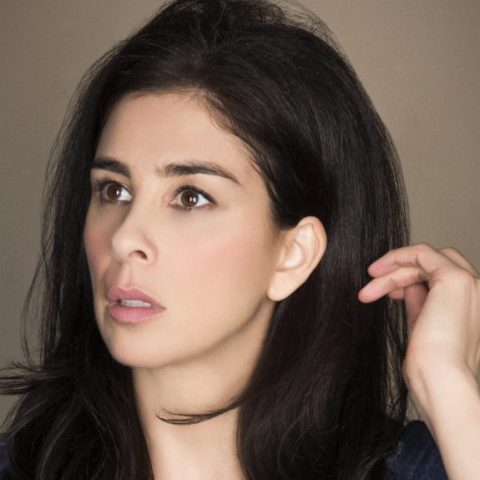 Sarah Silverman Files Lawsuits Against OpenAI and Meta Over Copyright Infringement, Challenging Use of Works in AI Datasets