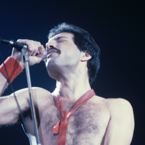 Freddie Mercury Possessions Set for UK Auction